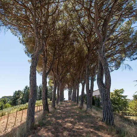 Casolare Perugia, Close To Gubbio And Assisi, With Panoramic Pool *